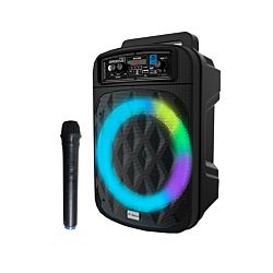 iDance Karaoke Box Groove 220mk2 inkl. Mikrofon