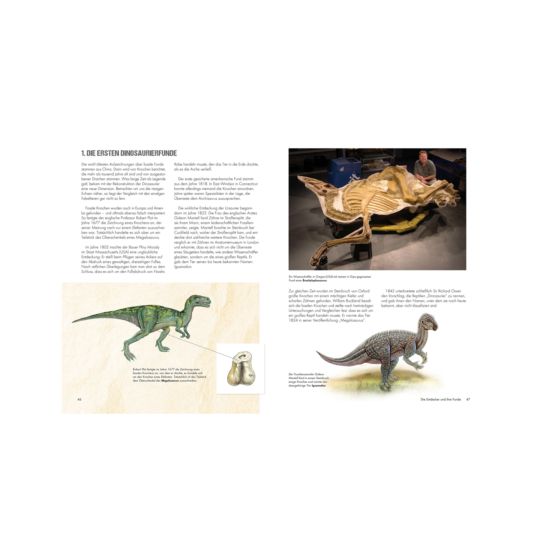 Dinosaures - Les fascinants géants de la préhistoire
