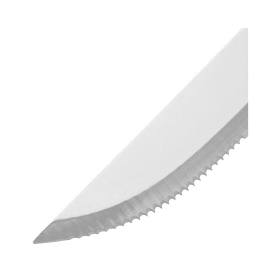 FS-STAR Set de 4 couteaux à steak, 25 cm
